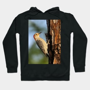 Red-bellied Woodpecker Hoodie